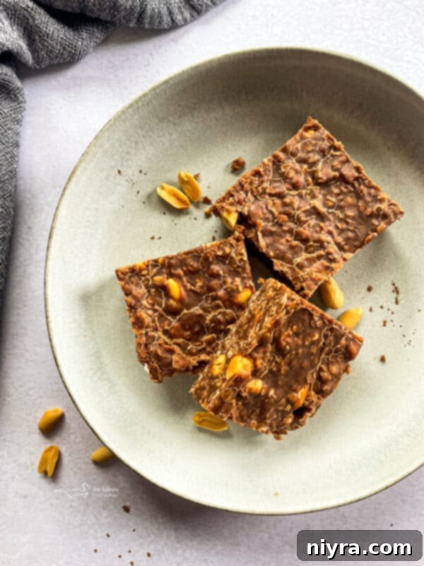 Stacked chewy chocolate peanut butter no-bake cookie bars on a rustic white plate, garnished with a sprinkle of sea salt.