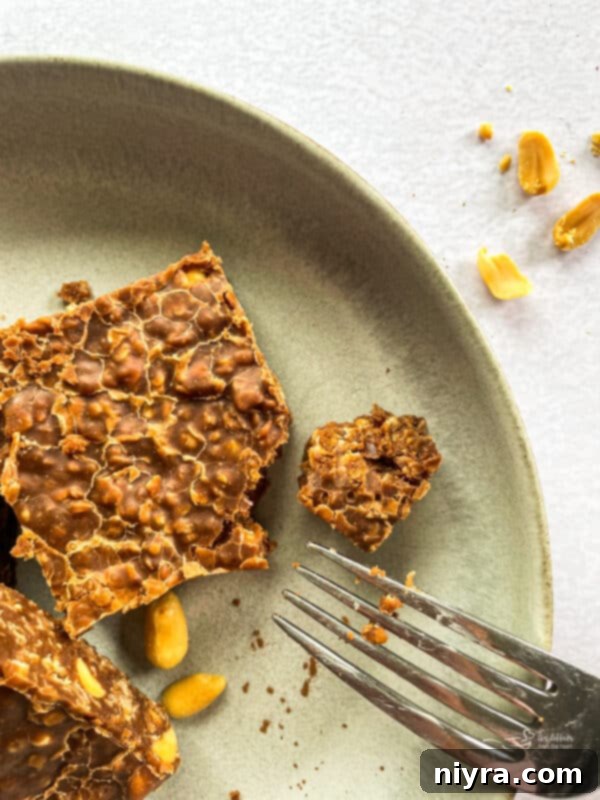 A top-down view of a plate of perfectly cut chewy chocolate peanut butter no-bake cookie bars, invitingly presented.