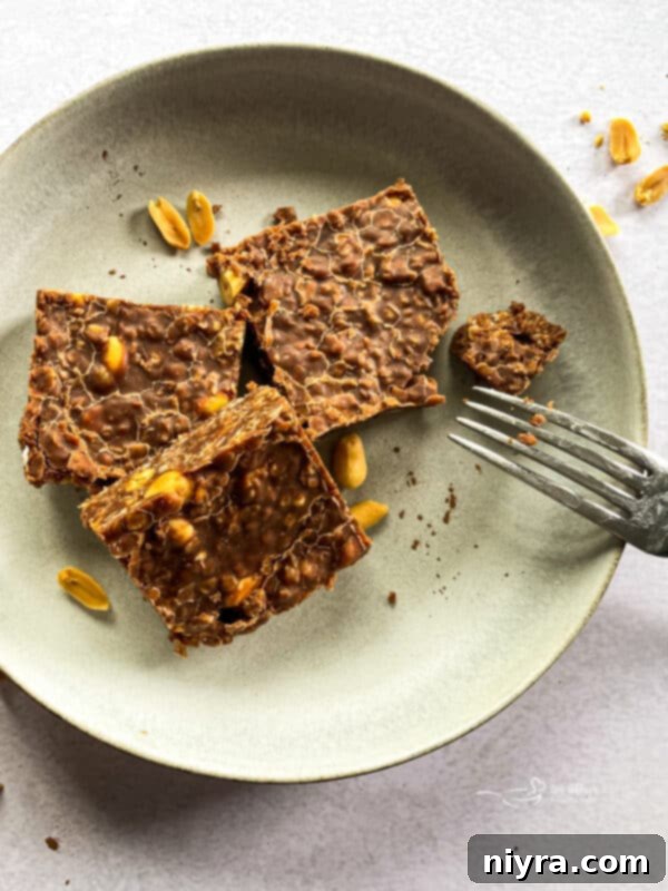 Two hands holding a single chewy chocolate peanut butter no-bake cookie bar, showcasing its texture.