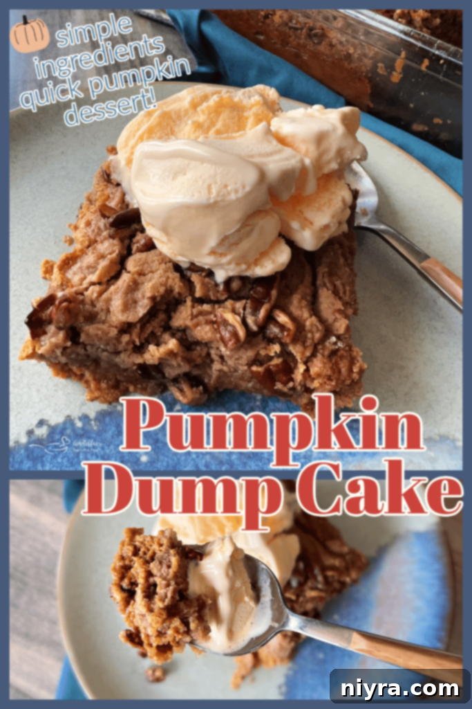 Pumpkin Dump Cake pin image - a beautifully styled overhead shot of the cake with toppings