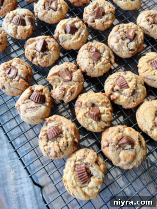 Freshly baked Reese's Peanut Butter Cup Cookies cooling on a wire rack.