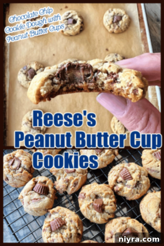 A plate of Reese's Peanut Butter Cup Cookies, some with bites taken out.