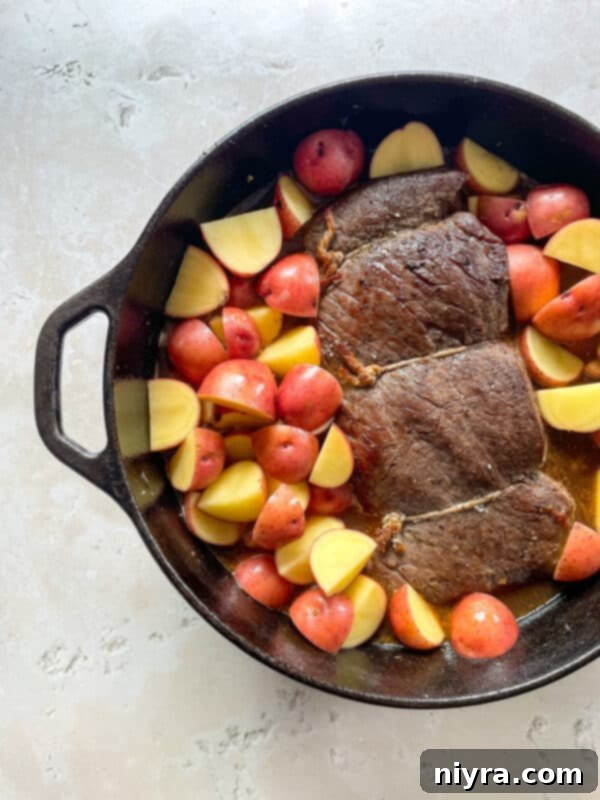 A Dutch oven with the seared roast returned, nestled among potatoes, carrots, and parsnips, all covered in a rich broth and ready for oven baking.