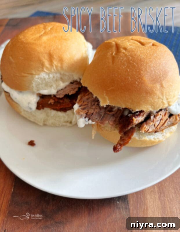 A final hero shot of the irresistible Spicy Beef Brisket.