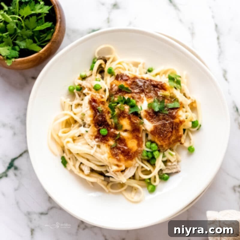 A freshly baked turkey pasta bake, golden brown and bubbly from the oven.