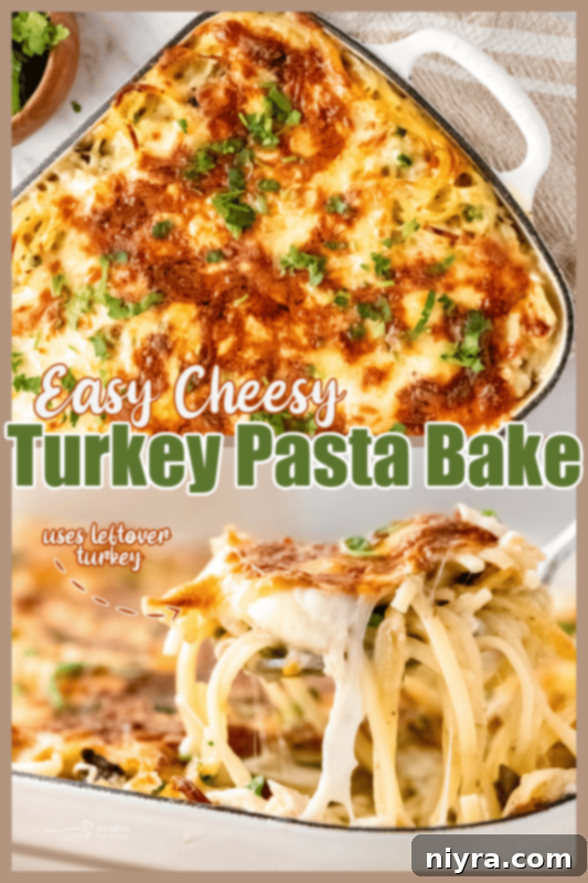 A close-up shot of a serving of Turkey Pasta Bake, showcasing its creamy texture and melted cheese.