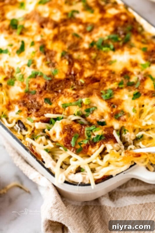 Close up of serving the Turkey pasta bake.