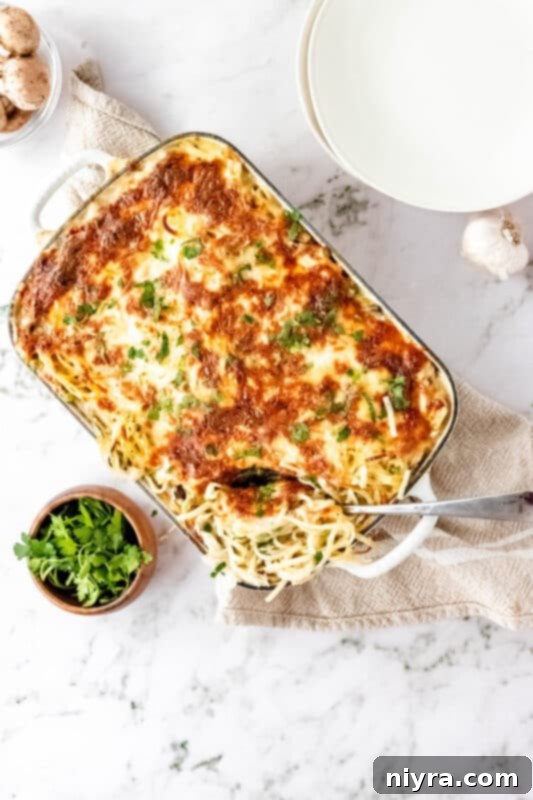 Close-up of a creamy Turkey Tetrazzini bake with melted cheese and herbs.