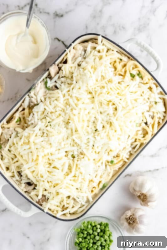 The turkey pasta mixture transferred to a baking dish, ready for cheese topping.