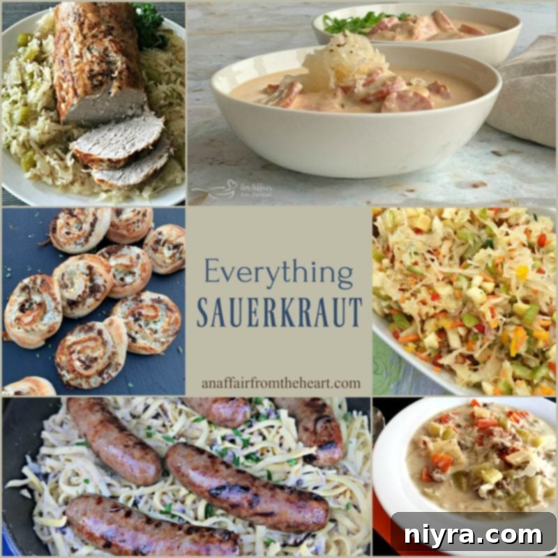 Savory Sauerkraut, Bacon and Swiss Dip 10 The Ultimate Guide to Sauerkraut