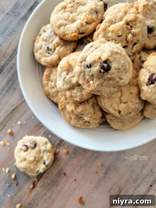 Mom's Scrumptious Cookies 2 Delicious Yum Yum Cookies stacked in a bowl