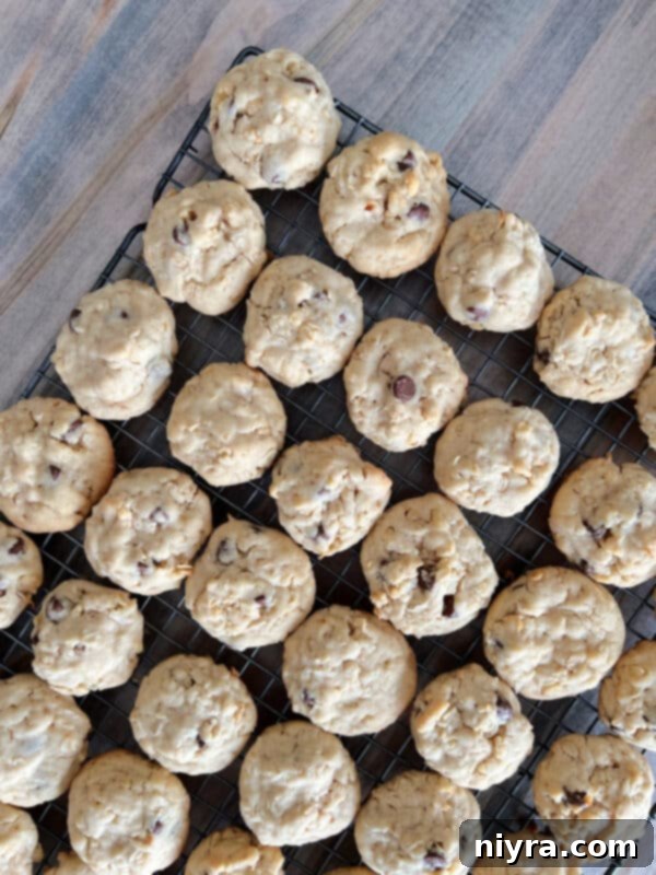 Mom's Scrumptious Cookies 12 Freshly baked Yum Yum Cookies on a cooling rack