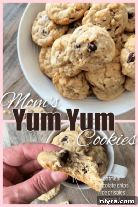 Mom's Scrumptious Cookies 13 Stack of Yum Yum Cookies with a bite taken out