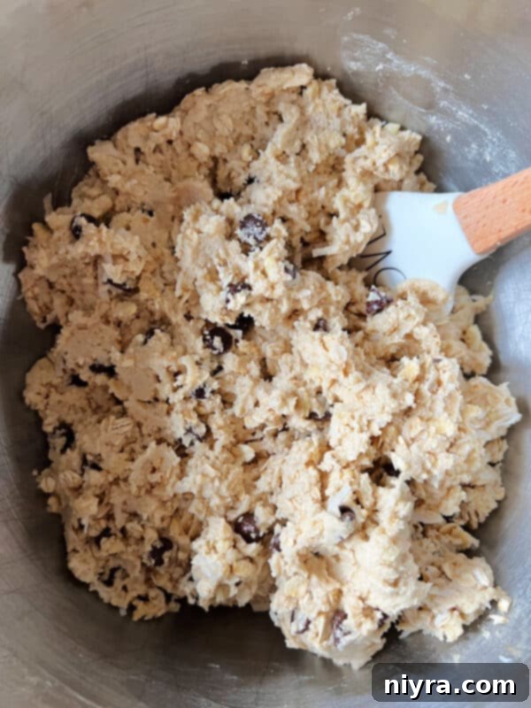 Mom's Scrumptious Cookies 10 Close-up of cookie dough with mixed-in ingredients