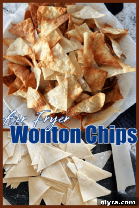 A close-up of crispy air fryer wonton chips in a small, rustic bowl, seasoned and ready to eat.