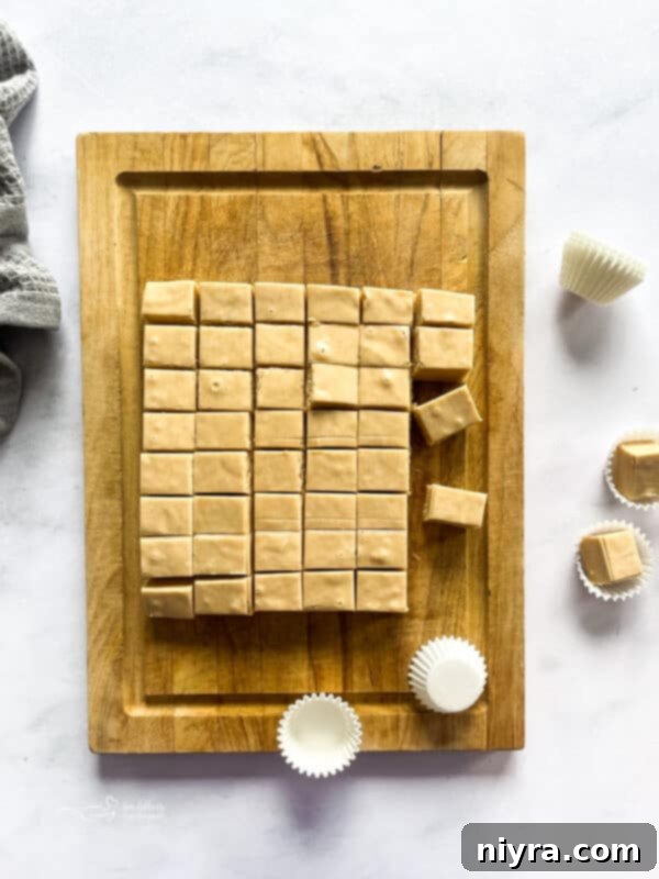 A bowl of peanut butter fudge squares ready to be served