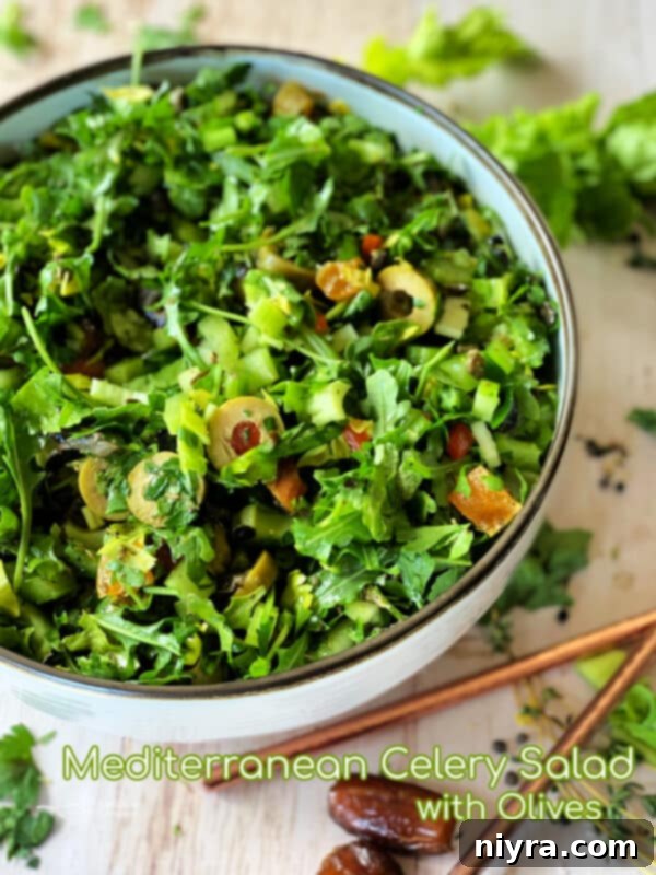Bright Mediterranean Celery Olive Salad 13 The final Mediterranean Celery Salad with Olives, presented beautifully in a serving bowl, ready to be enjoyed.