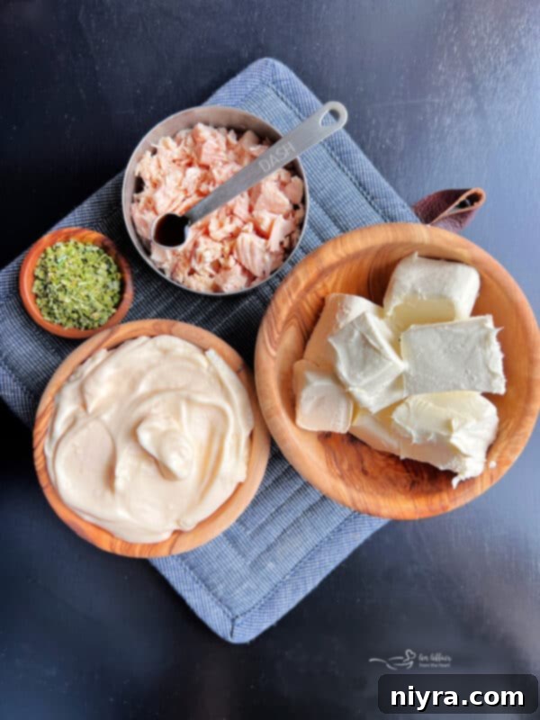 Savory Chicken Cracker Dip 3 A serving bowl filled with creamy Chicken in a Biskit Dip, garnished with chives and surrounded by crackers.