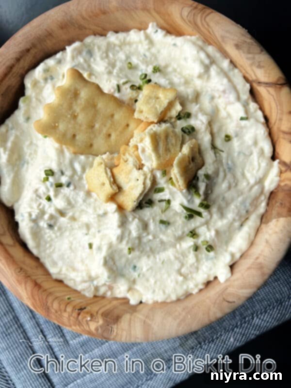 Savory Chicken Cracker Dip 10 A top-down view of Chicken in a Biskit Dip, garnished with fresh chives and surrounded by crackers.