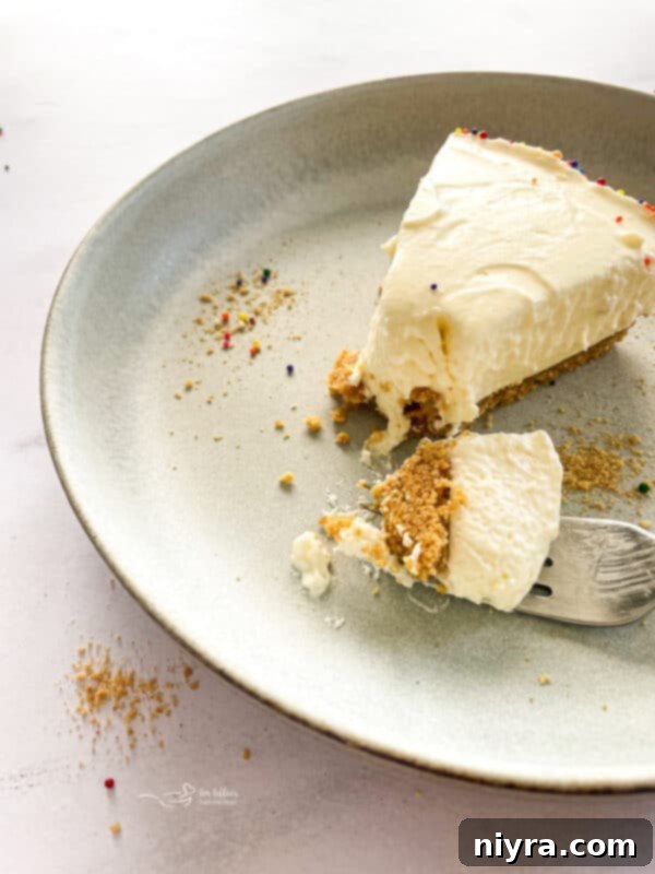 Creamy No-Bake Marshmallow Cheesecake in a springform pan, garnished with colorful sprinkles.