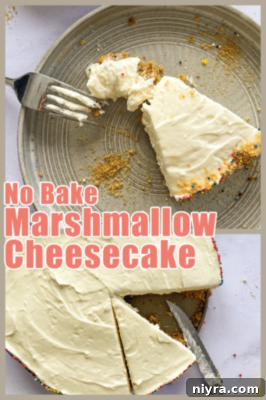 A vibrant No-Bake Marshmallow Cheesecake, featuring a fluffy white topping and a golden-brown crust.