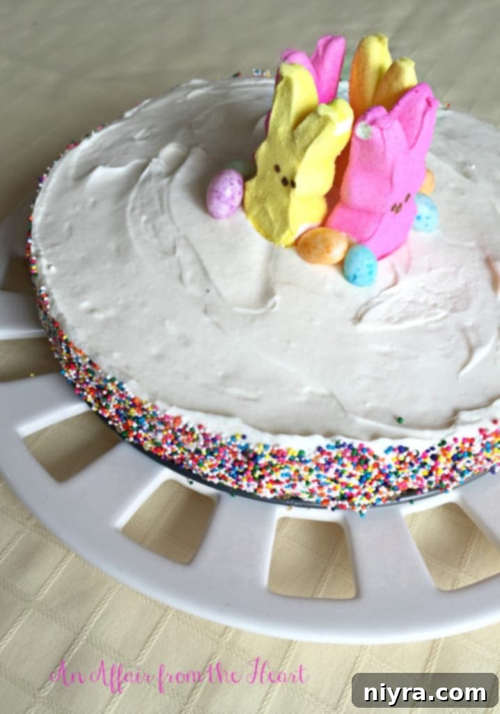 Close-up of a slice of No-Bake Marshmallow Cheesecake on a white plate, showing its creamy texture and crust.