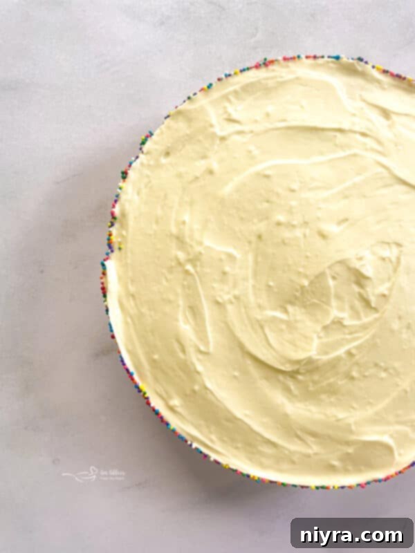 A whole No-Bake Marshmallow Cheesecake decorated with colorful sprinkles, seen from above.