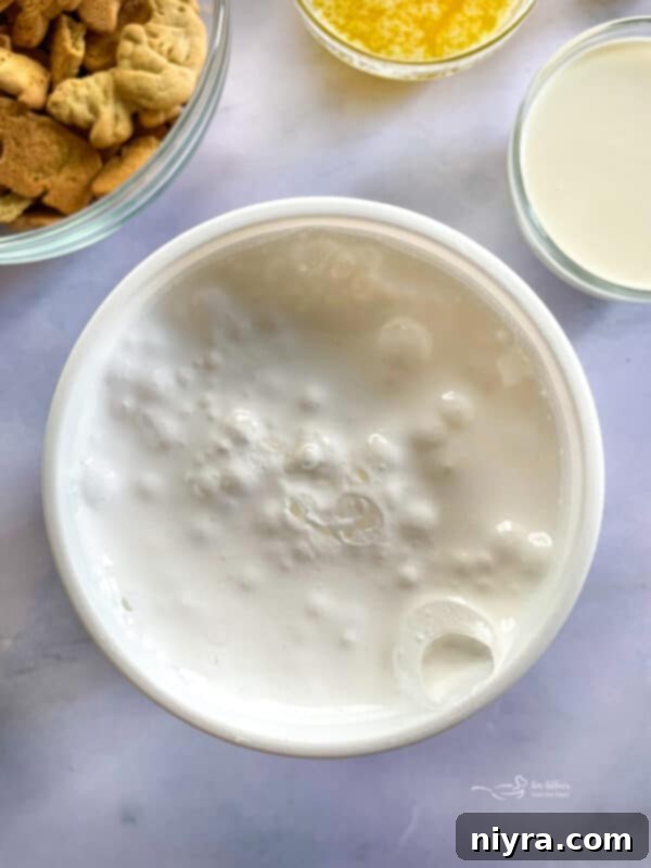A No-Bake Marshmallow Cheesecake chilling in a springform pan.