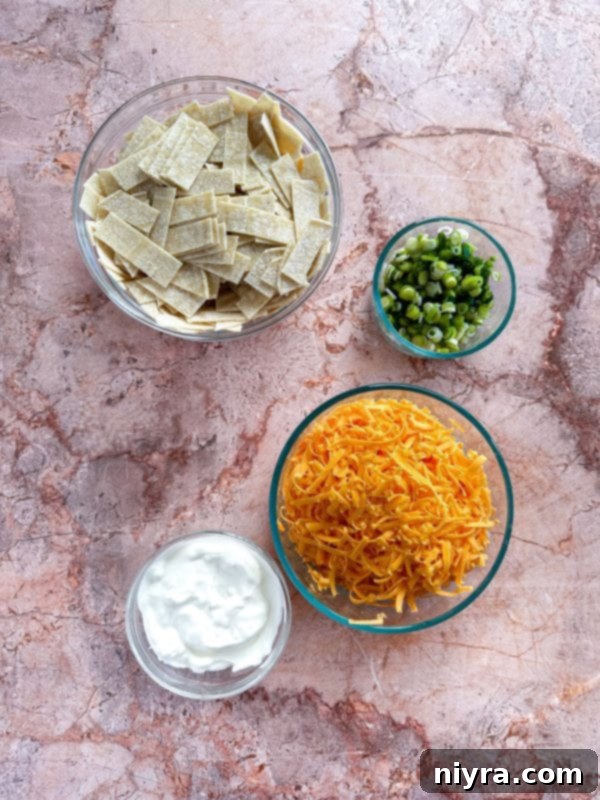 Close-up shot of the enchilada casserole filling, showing shredded chicken, sauce, and tortilla strips