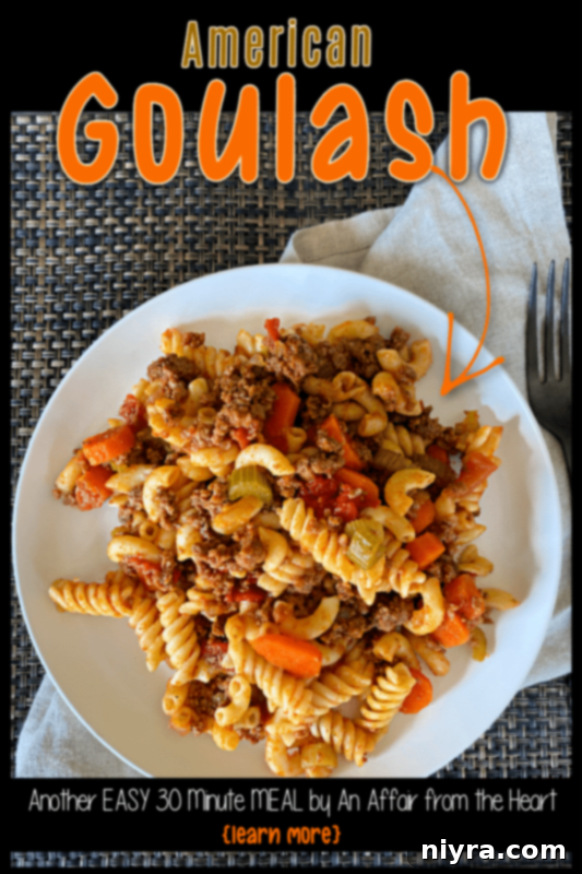Close-up overhead shot of American Goulash