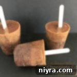 close up of 3 Chocolate Coffee Frozen Pops