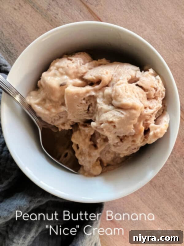 Hero shot of creamy Peanut Butter Banana Nice Cream in a bowl with a spoon.
