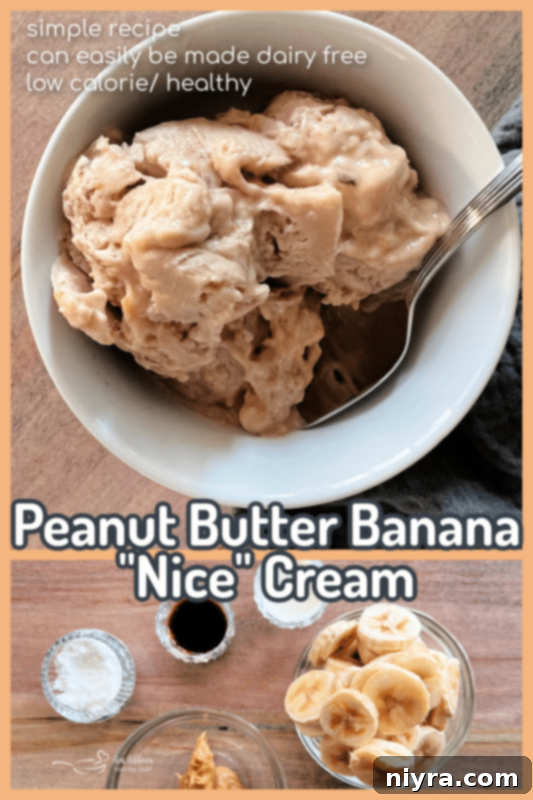 Beautifully scooped Peanut Butter Banana Nice Cream in a bowl.