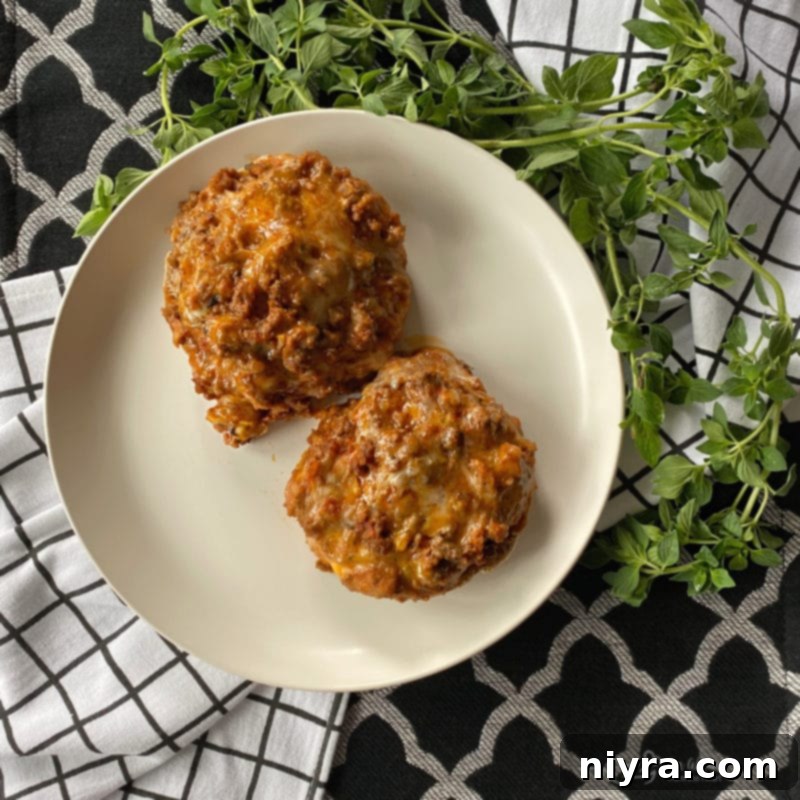 Pizza Burger Melts 3 Close-up of a perfectly baked Open-Faced Pizza Burger with melted cheese, ready to be enjoyed