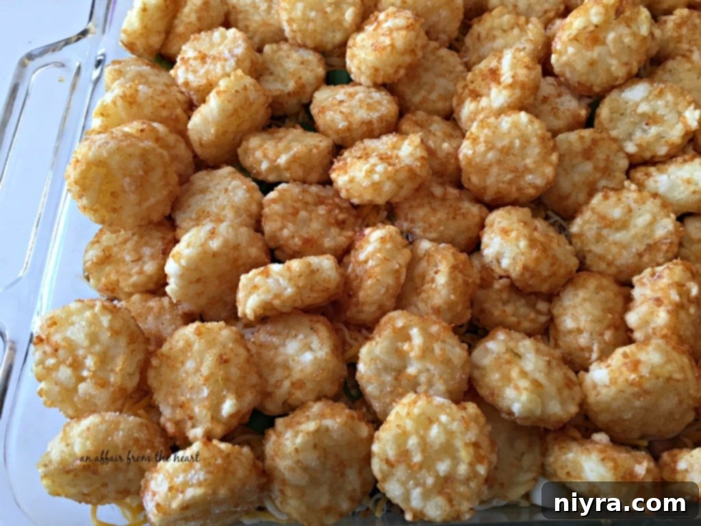 Loaded Tater Tot Taco Bake 9 Frozen tater tots arranged neatly in a single layer over the cheese and beef mixture in a casserole dish, ready for baking.