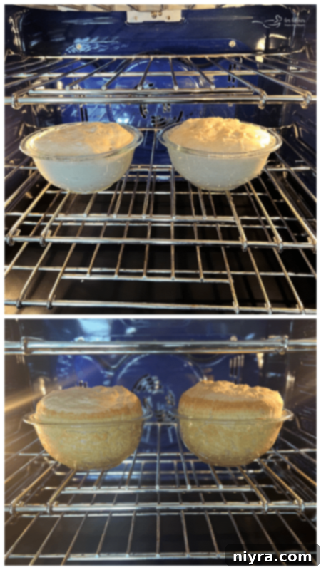 peasant bread baking in the oven 