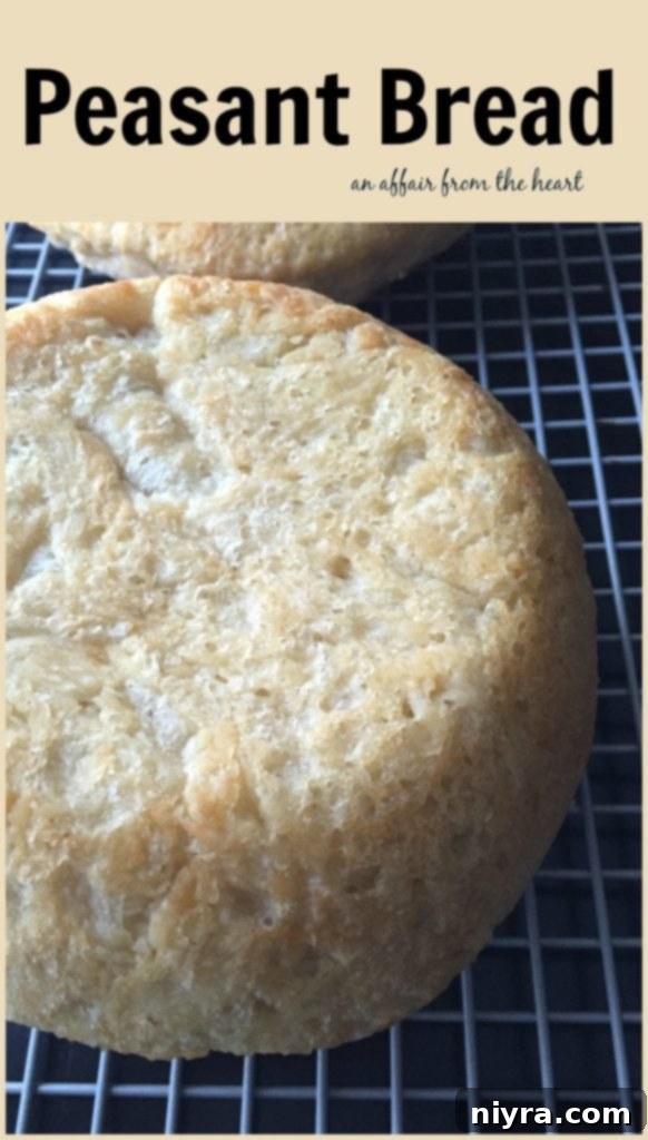 Peasant Bread - An Affair from the Heart