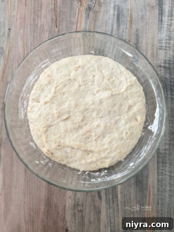 peasant bread dough rising in bowl