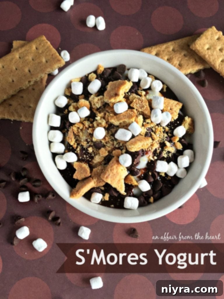 A beautifully layered S'Mores Yogurt treat, showcasing marshmallows, chocolate, and graham crackers over creamy yogurt.