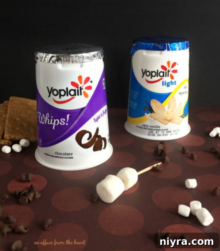 Close-up of a S'Mores Yogurt cup, highlighting the fluffy marshmallows and rich chocolate drizzle.