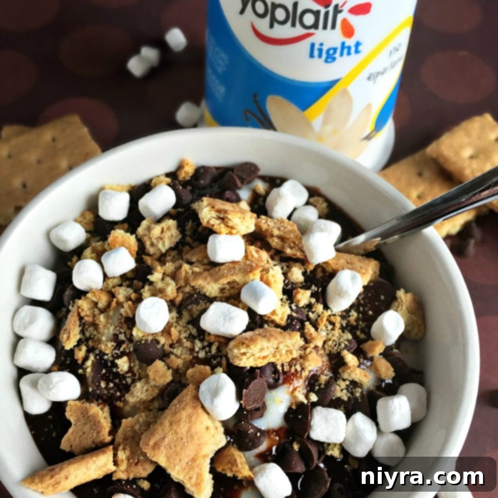 Ingredients for S'Mores Yogurt, including Yoplait yogurt, chocolate chips, and marshmallows, laid out on a surface.