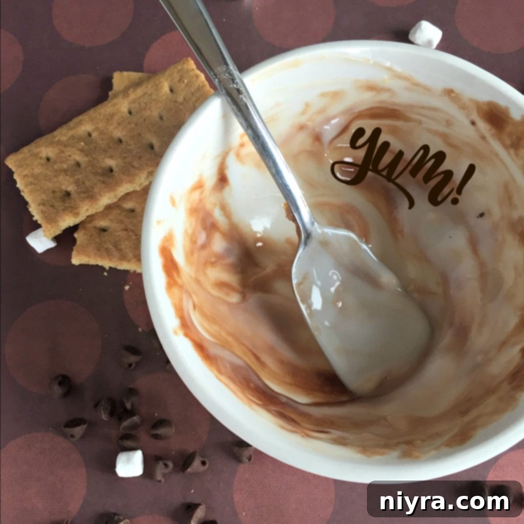 Another appealing shot of S'Mores Yogurt, ready to be eaten, emphasizing its texture and toppings.