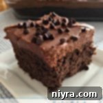 Decadent Chocolate Banana Bake 10 Pinterest image with text "Chocolate Banana Cake"