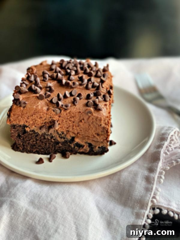 Decadent Chocolate Banana Bake 4 Close-up of the moist interior of Chocolate Banana Cake