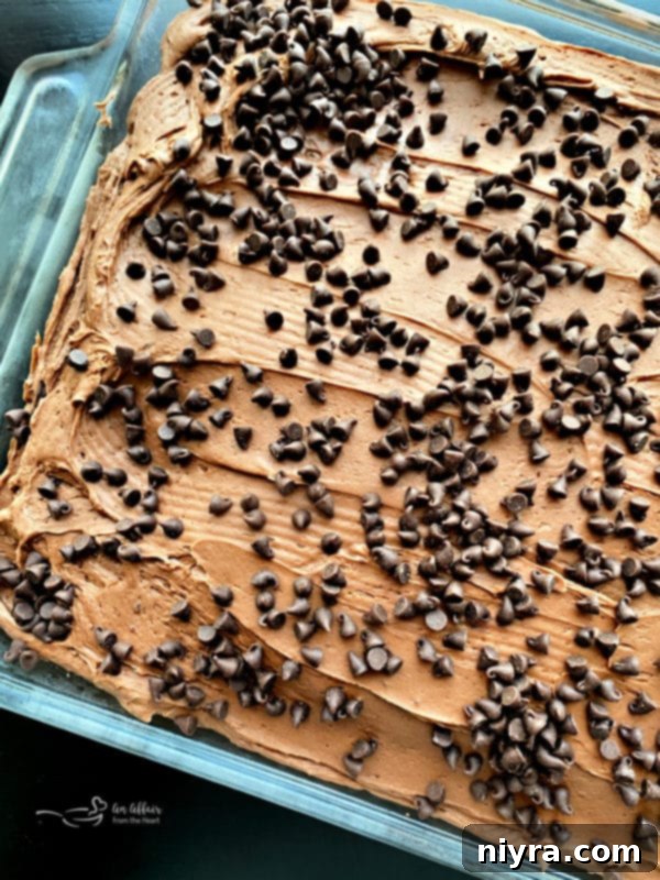 Decadent Chocolate Banana Bake 5 Beautifully frosted Chocolate Banana Cake on a cake stand