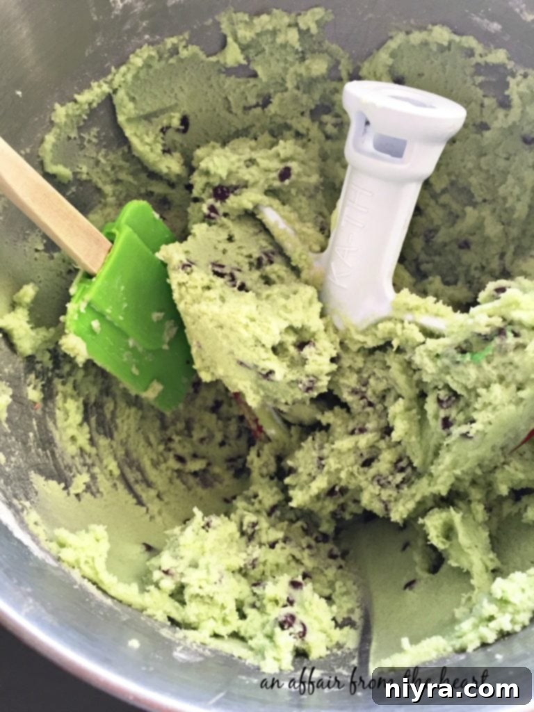 Refreshing Mint Chocolate Chip Cookies 4 Batch of freshly baked Mint Chocolate Chip Cookies cooling on a wire rack