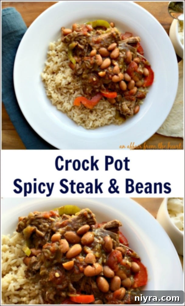 Close-up of Crock Pot Spicy Steak & Beans in a serving bowl