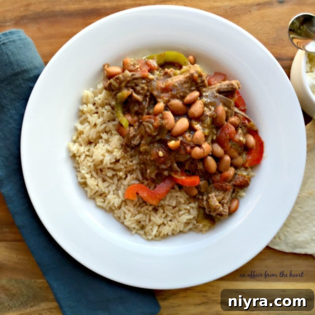 Crock Pot Spicy Steak & Beans close-up with a spoon