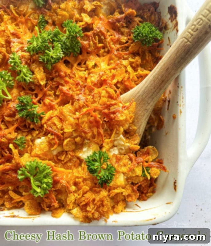 Delicious baked Hash Brown Potato Casserole, ready to serve.