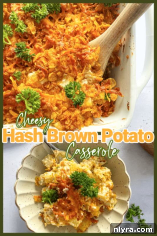 Cheesy Hash Brown Potato Casserole, a delicious family meal.